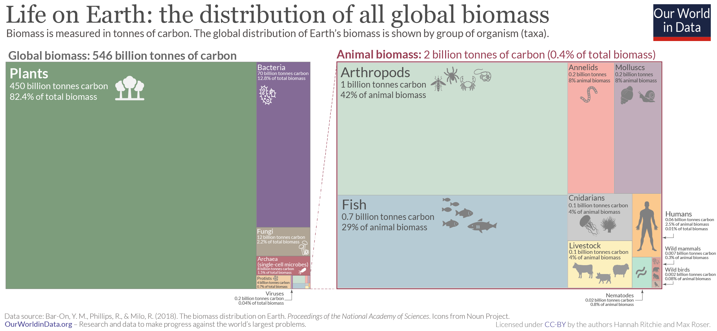 Global taxa biomass