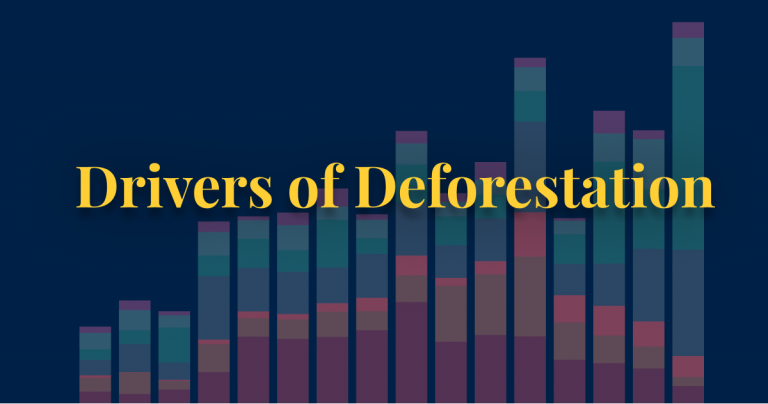 Drivers of deforestation