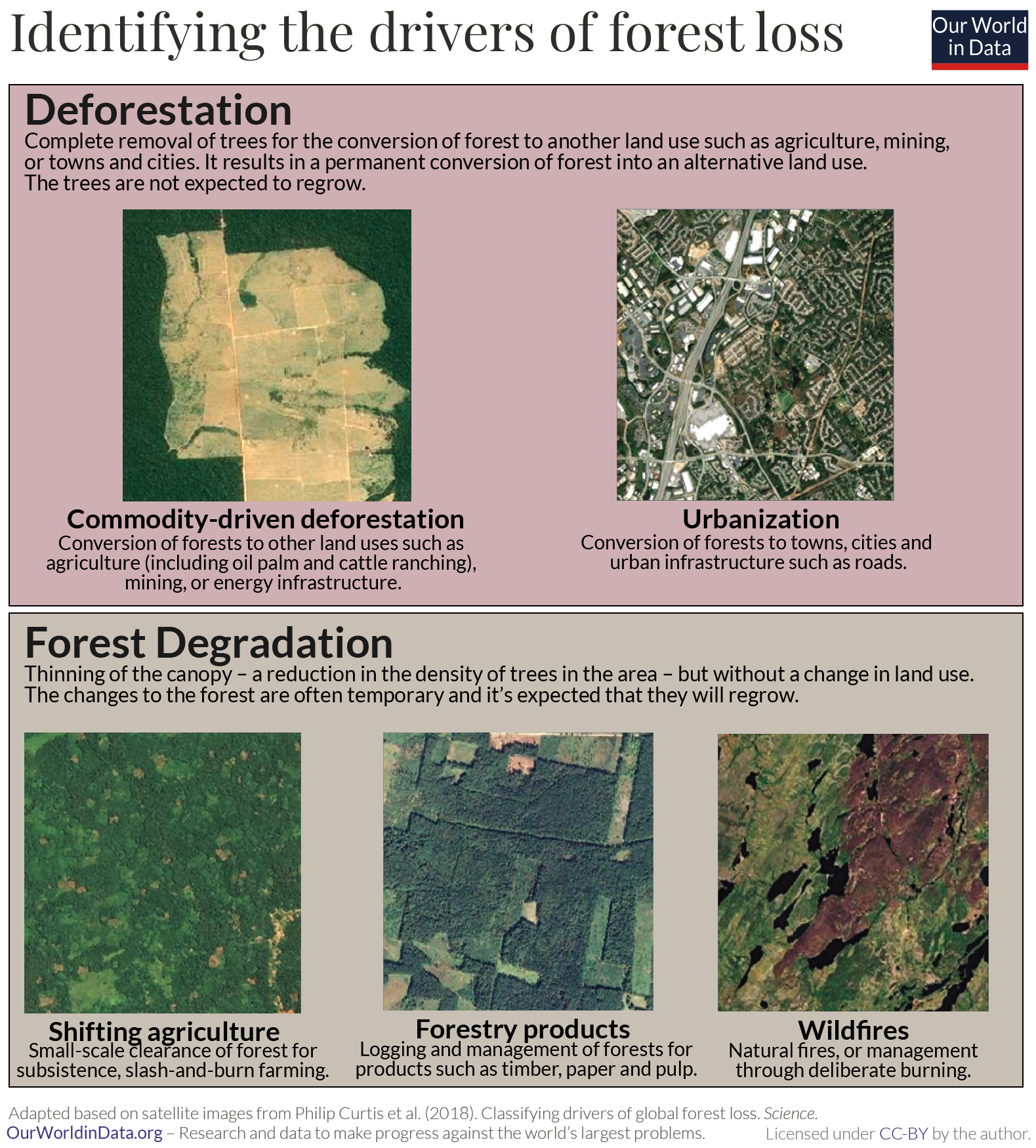 Identifying drivers of forest loss