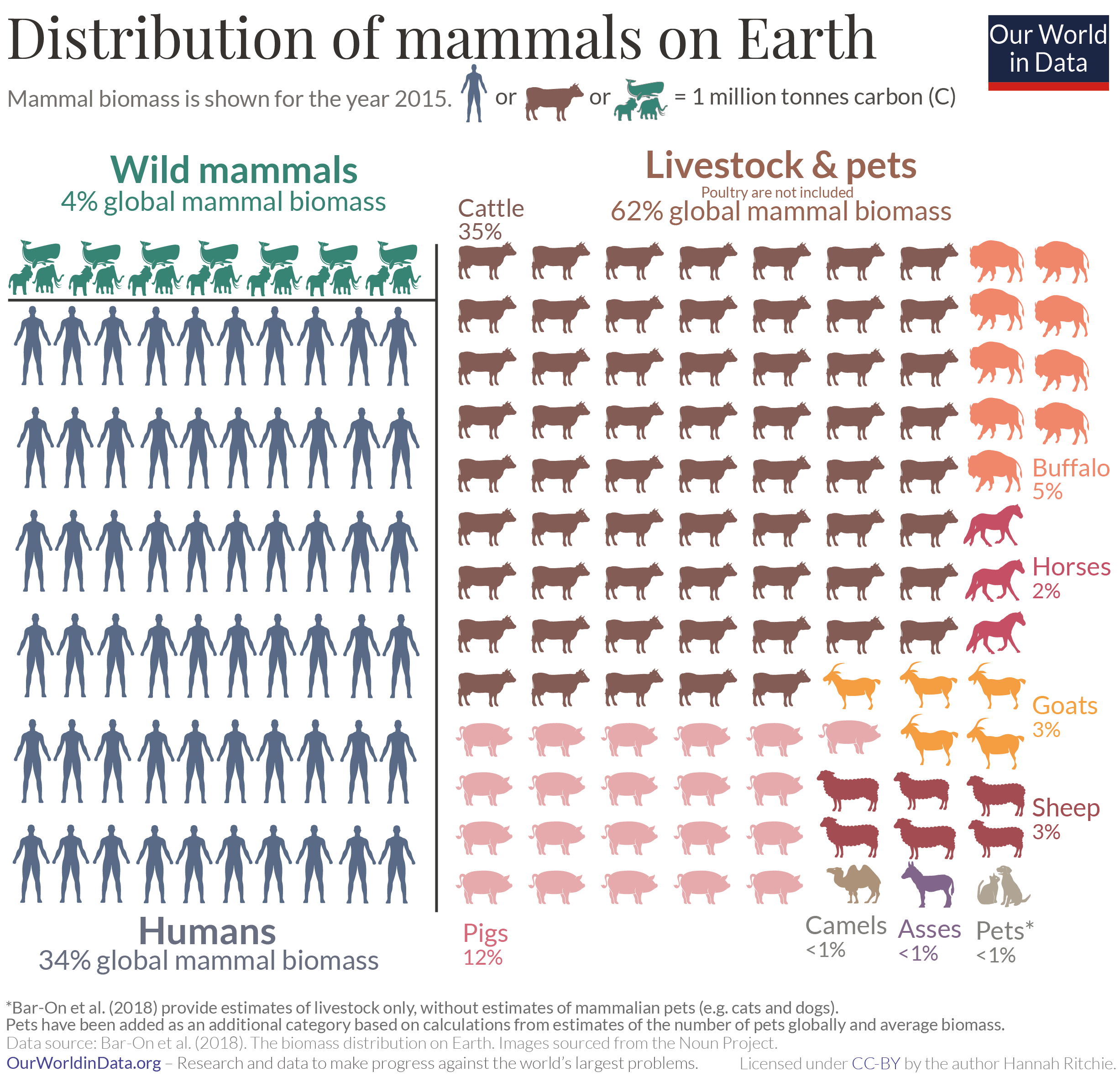 Distribution of earths mammals