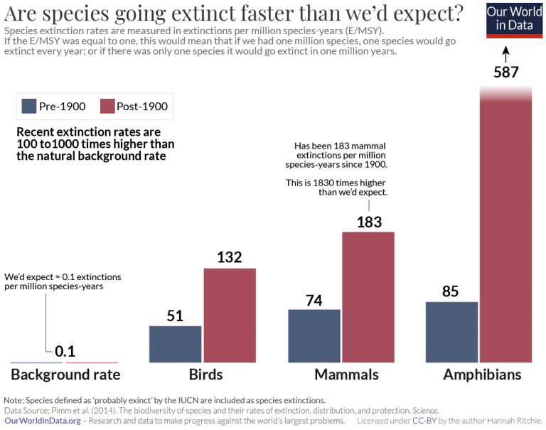 Extinction rates compared to background pimm et al