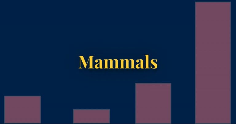 Mammals thumbnail