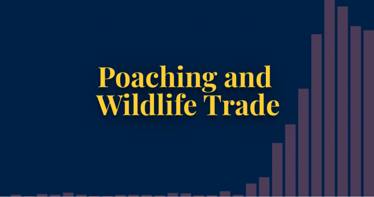 Poaching and wildlife trade thumbnail