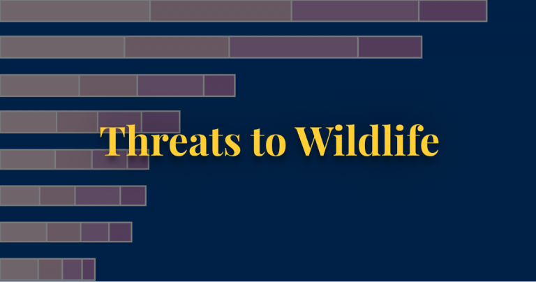 Threats to wildlife thumbnail