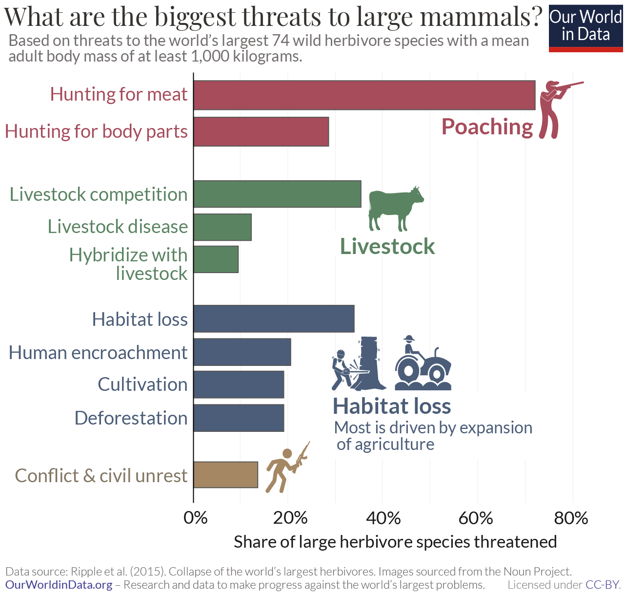 What are the largest threats to large mammals