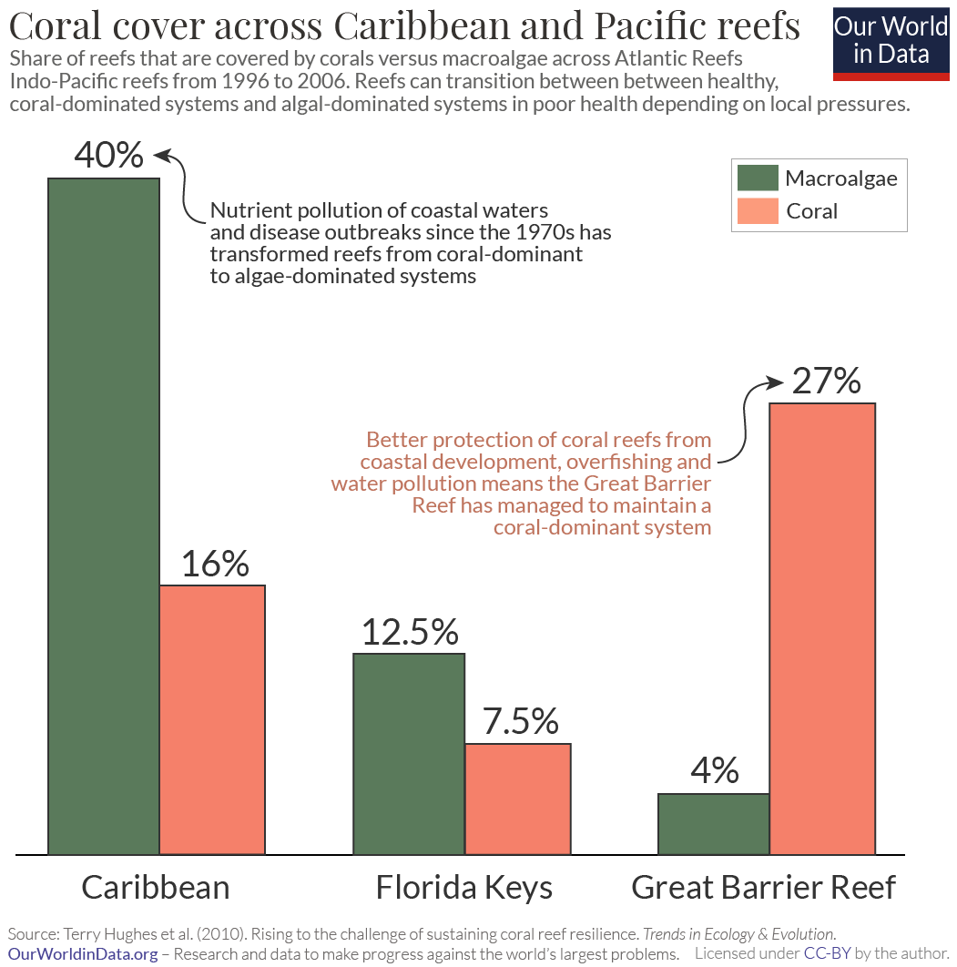 Caribbean and pacific coral vs. algae cover