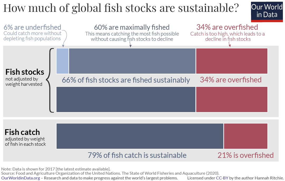 Global sustainability of fish stocks