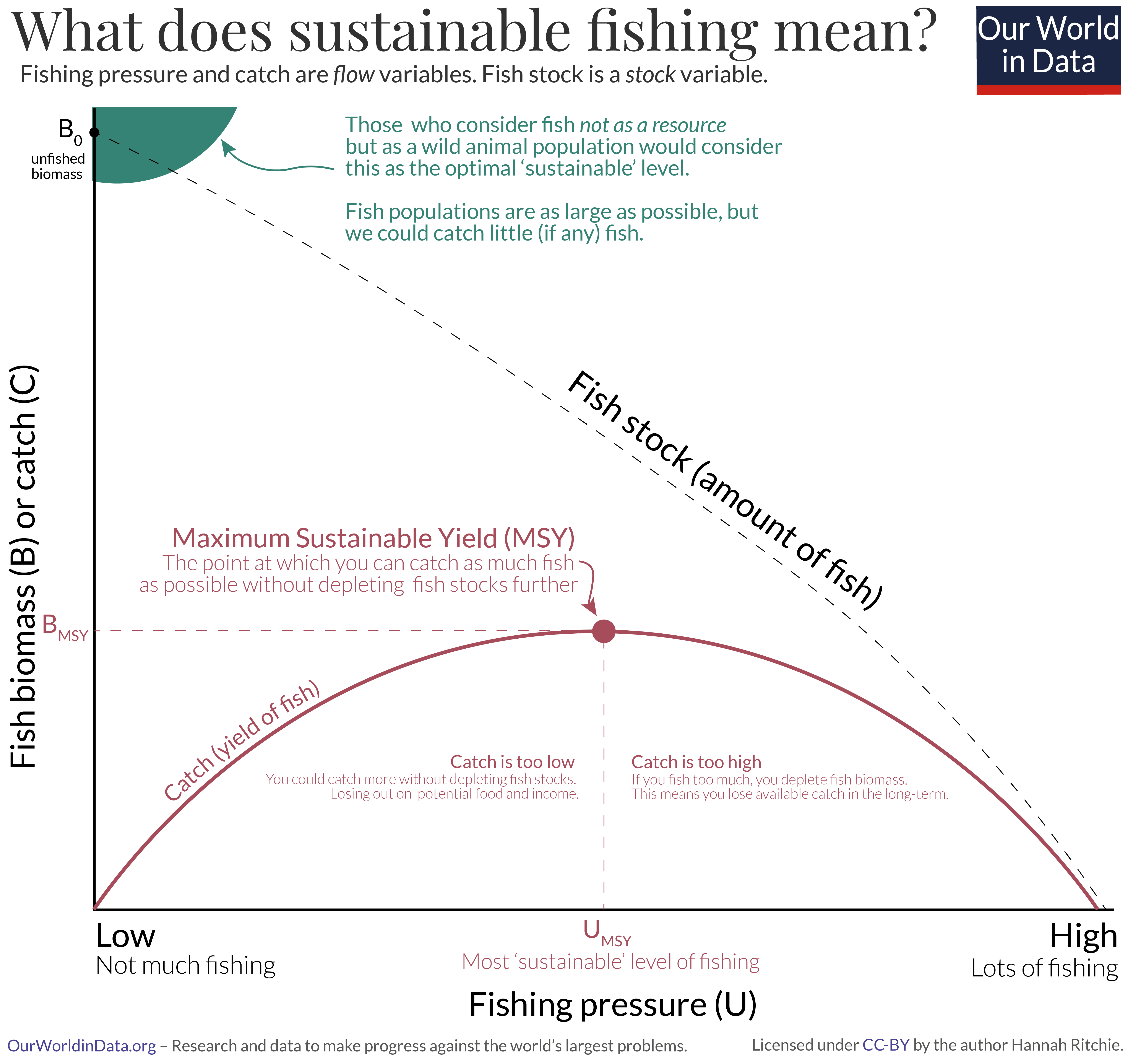 Maximum sustainable yield of fish with addition